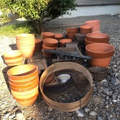 植木鉢　ガーデニングの画像