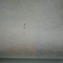 [1742] 彩色山水 尺五立 掛軸 絵画 古美術 掛け軸 風景の画像