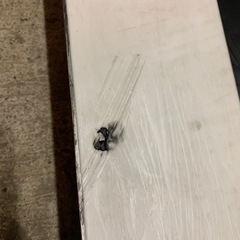 スノーボード dancehaul salomonの画像