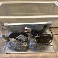 熱帯魚用水槽、ライト、他一式の画像