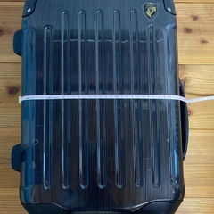 お話し中‼️グリフィンランド 
キャリーバックの画像