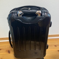 お話し中‼️グリフィンランド 
キャリーバックの画像