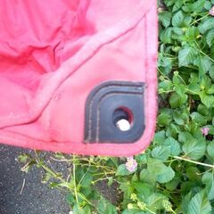 Coleman　アウトドア ワゴンの画像