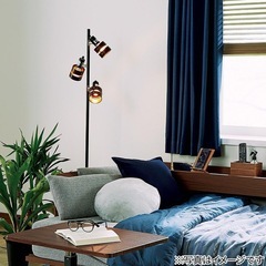 フロアランプ　ブラウンの画像