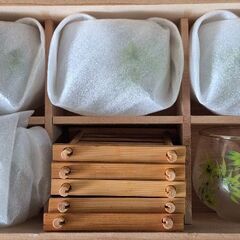 難あり　未使用　冷茶グラス　竹柄　5客1セットの画像