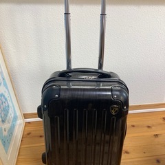 お話し中‼️グリフィンランド 
キャリーバックの画像