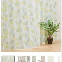 ニトリ　遮光カーテン　リーフ柄の画像