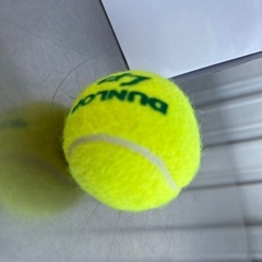 無料で🉐ダンロップ◇硬式テニスボール16球◇エルピー LP◇差し上げますの画像