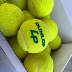 無料で🉐ダンロップ◇硬式テニスボール16球◇エルピー LP◇差し上げますの画像