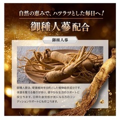 グリフィス アクティブコア サプリ 栄養機能食品 国内製造 高麗人参 栄養機能食品 亜鉛 マカ 30錠入り の画像