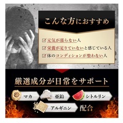 グリフィス アクティブコア サプリ 栄養機能食品 国内製造 高麗人参 栄養機能食品 亜鉛 マカ 30錠入り の画像