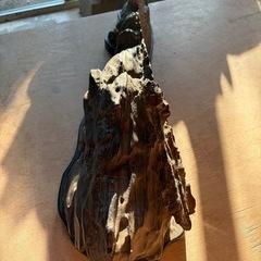 床の間　銘石　の画像