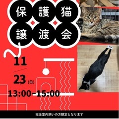 ワンちゃん猫ちゃん譲渡会