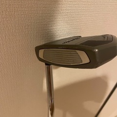 中古】 テーラーメイド Spider SR PLATINUM/WHITE シングルベンド 34インチ パター PT スチールの画像