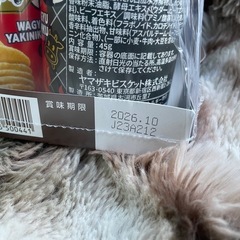 チップスター　和牛焼肉味　8個の画像