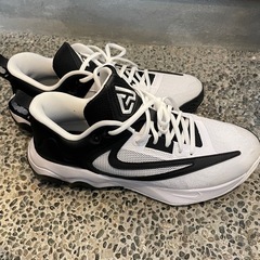 NIKEシューズ　28.5㎝の画像