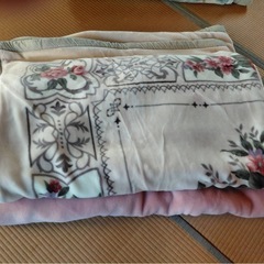 来客用の敷布団、毛布の画像