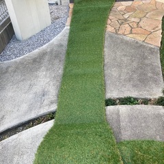 人工芝の画像