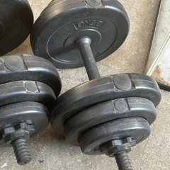 ダンベルセット　筋トレの画像