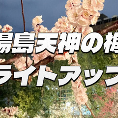 夜空に浮かぶ幻想美。湯島天神・梅のライトアップ鑑賞！時間が…