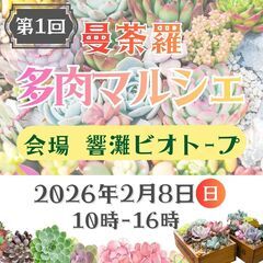 令和8年2月8日㊐【第1回】曼荼羅多肉マルシェin響灘ビオ…