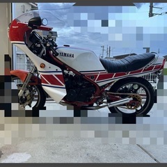 ロケットカウル　RZ250RR 51Lの画像