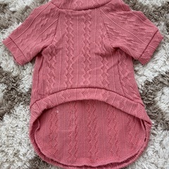わんちゃん、ねこちゃんニットお洋服新品未使用の画像