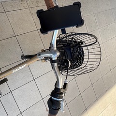 ジオス プルミーノ (ブラウン) 2021 GIOS PULMINO ミニベロ 小径自転車の画像