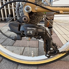 ジオス プルミーノ (ブラウン) 2021 GIOS PULMINO ミニベロ 小径自転車の画像