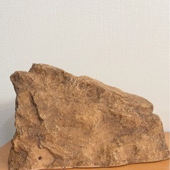 小動物用ハウスの画像