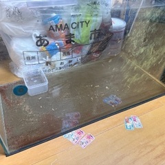 60cmガラス水槽セット（台、ライト、外掛けフィルター）の画像