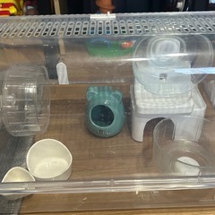 ハムスター飼育セット🐹の画像