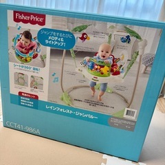 レインフォレスト・ジャンパルーの画像