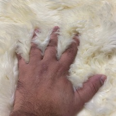 ムートンラグの画像