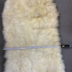 ムートンラグの画像