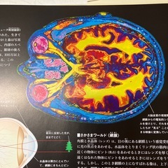 H2511-493 人体探検の本の画像