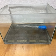 45cmハイタイプ＋規格水槽、台setの画像