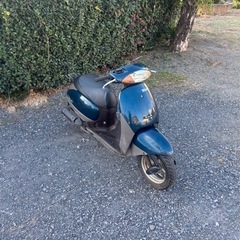 1167.ホンダ　タクト　AF51 2スト　原付　バイク　50cc 車体　埼玉　車体の画像