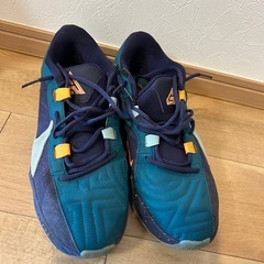 今月末まで！！！美品　NIKE ナイキ　ズーム　フリーク　29センチの画像