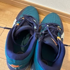 今月末まで！！！美品　NIKE ナイキ　ズーム　フリーク　29センチの画像