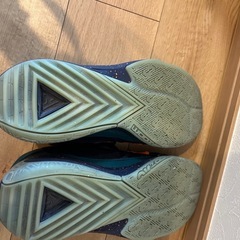 今月末まで！！！美品　NIKE ナイキ　ズーム　フリーク　29センチの画像