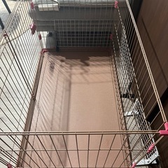 犬のゲージの画像