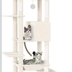 キャットタワー 美品の画像