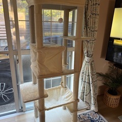 キャットタワー 美品の画像