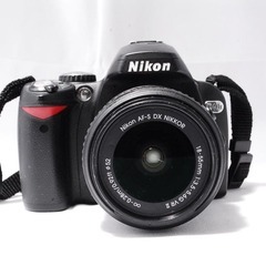 ‼️まだ間に合う‼️紅葉を撮りに行こう✨Nikon D40x ダブルレンズセットの画像