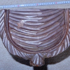 【古品】木彫りアイヌ顔置物　高さ30cm超の画像