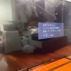 【無料希望】Panasonic 49V型テレビ 回収してくれる方（糸満市）の画像