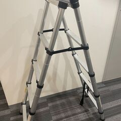 伸縮脚立の画像