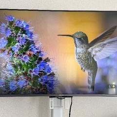 Xiaomi TV A Pro 43  テレビスタンド付きの画像