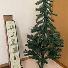 クリスマスツリーの画像